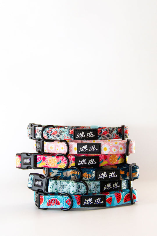 Branded store dog collars