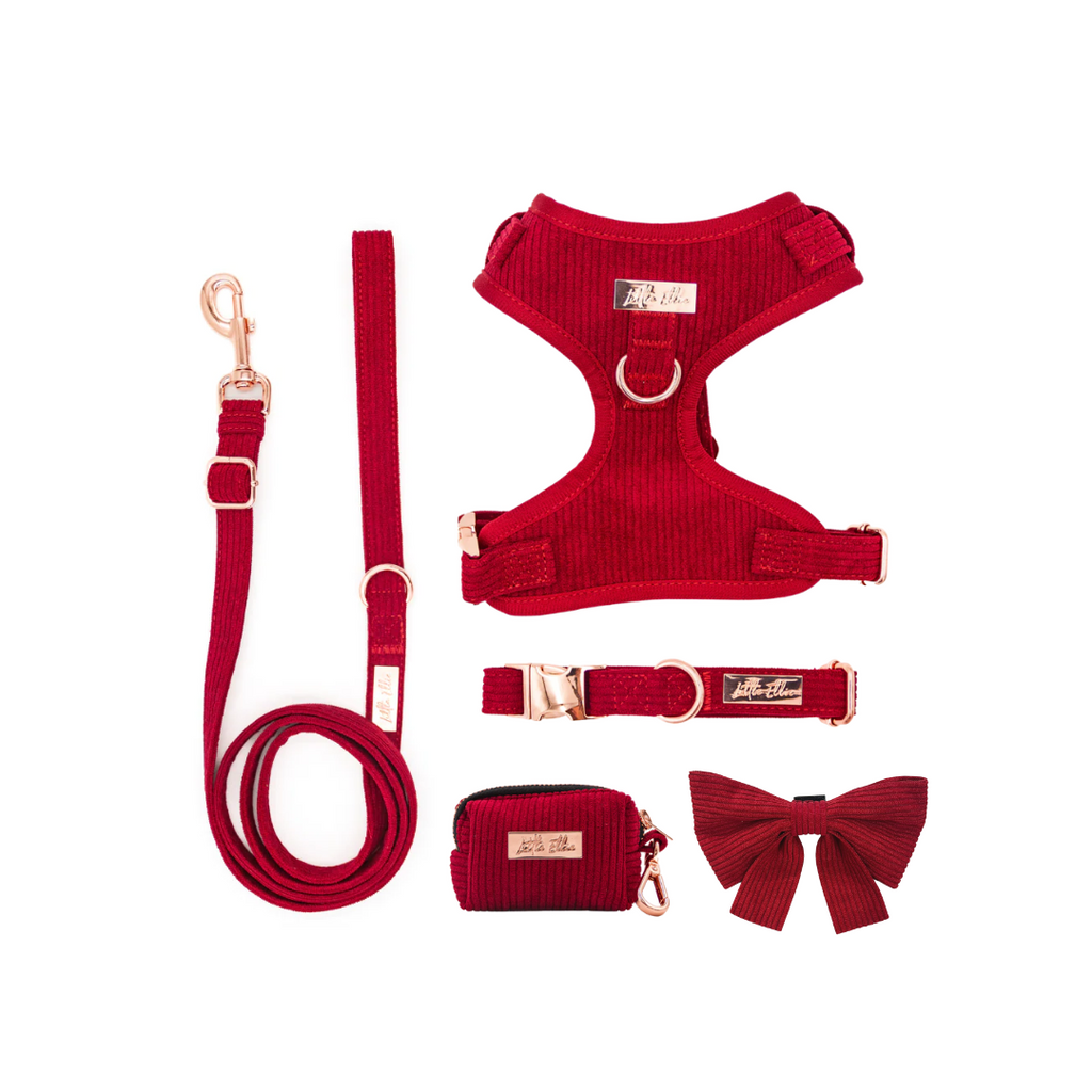 Chewy V Harness & Leash Set – Barks First Avenue